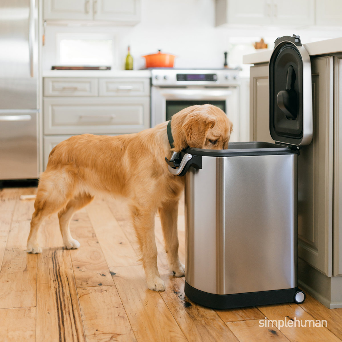 simplehuman Pet Food Storage Container Stainless Steel for Dog Food, Cat Food, and Bird Feed
